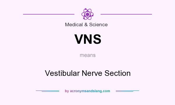 What does VNS mean? It stands for Vestibular Nerve Section