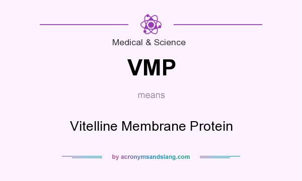 What does VMP mean? It stands for Vitelline Membrane Protein