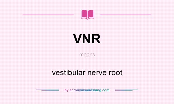 What does VNR mean? It stands for vestibular nerve root