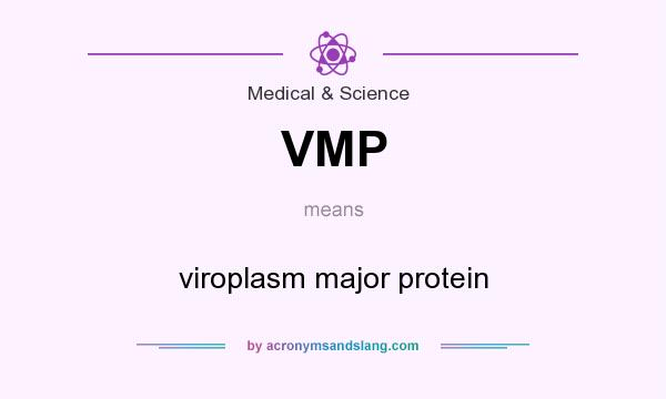 What does VMP mean? It stands for viroplasm major protein