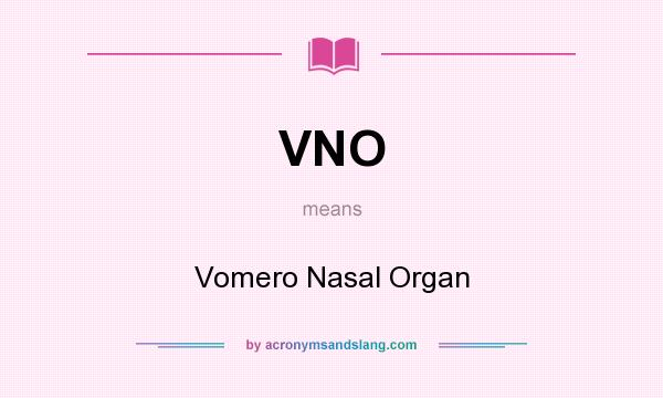 What does VNO mean? It stands for Vomero Nasal Organ