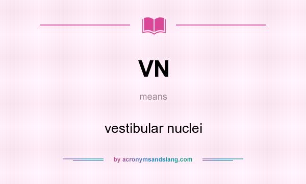 What does VN mean? It stands for vestibular nuclei