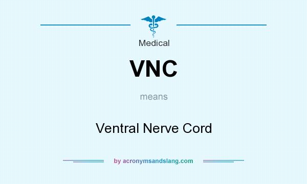 What does VNC mean? It stands for Ventral Nerve Cord