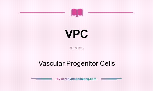 What does VPC mean? It stands for Vascular Progenitor Cells