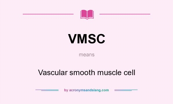 What does VMSC mean? It stands for Vascular smooth muscle cell