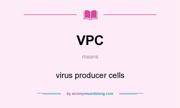 What does VPC mean? It stands for virus producer cells