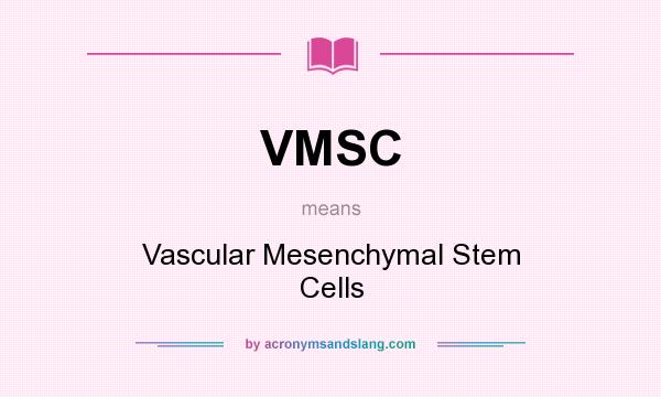 What does VMSC mean? It stands for Vascular Mesenchymal Stem Cells