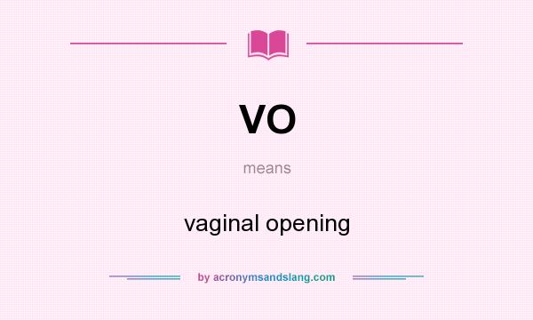 What does VO mean? It stands for vaginal opening