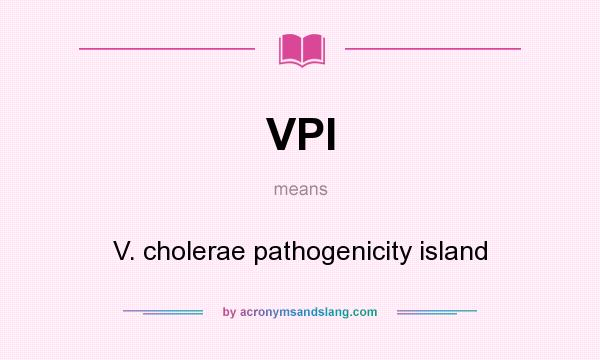 What does VPI mean? It stands for V. cholerae pathogenicity island