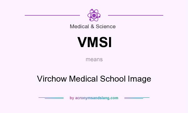 What does VMSI mean? It stands for Virchow Medical School Image