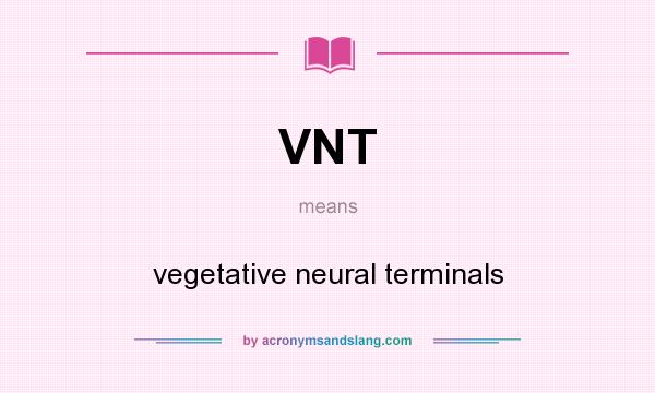 What does VNT mean? It stands for vegetative neural terminals