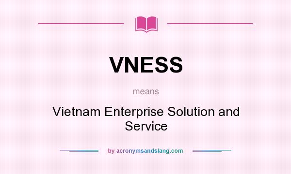 What does VNESS mean? It stands for Vietnam Enterprise Solution and Service