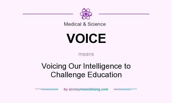 What does VOICE mean? It stands for Voicing Our Intelligence to Challenge Education