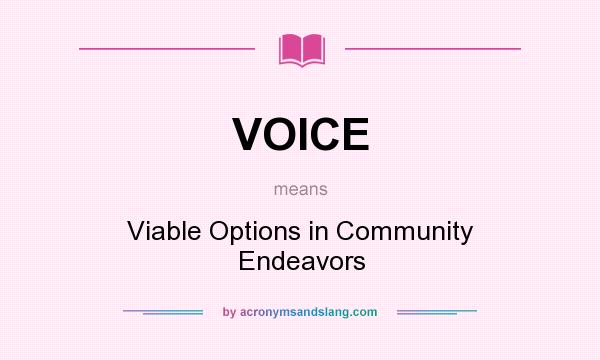 What does VOICE mean? It stands for Viable Options in Community Endeavors