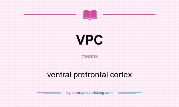 What does VPC mean? It stands for ventral prefrontal cortex
