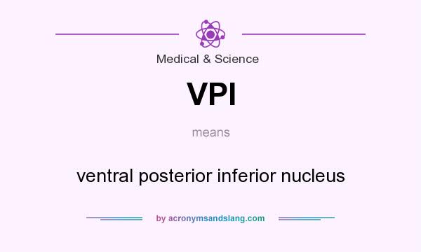 What does VPI mean? It stands for ventral posterior inferior nucleus