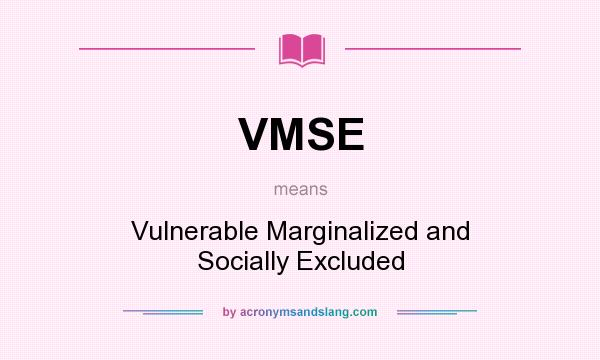 What does VMSE mean? It stands for Vulnerable Marginalized and Socially Excluded