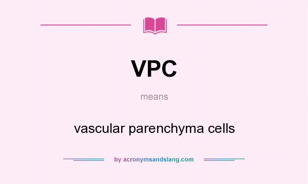 What does VPC mean? It stands for vascular parenchyma cells