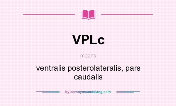 What does VPLc mean? It stands for ventralis posterolateralis, pars caudalis