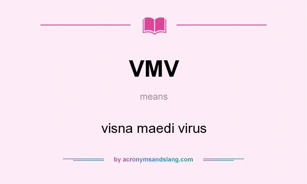 What does VMV mean? It stands for visna maedi virus