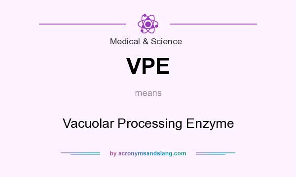 What does VPE mean? It stands for Vacuolar Processing Enzyme