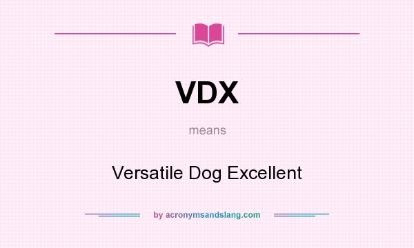 What does VDX mean? It stands for Versatile Dog Excellent
