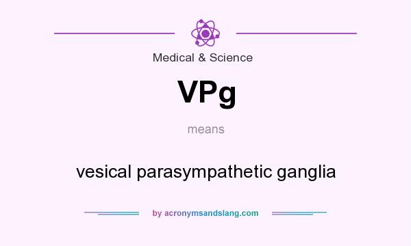 What does VPg mean? It stands for vesical parasympathetic ganglia