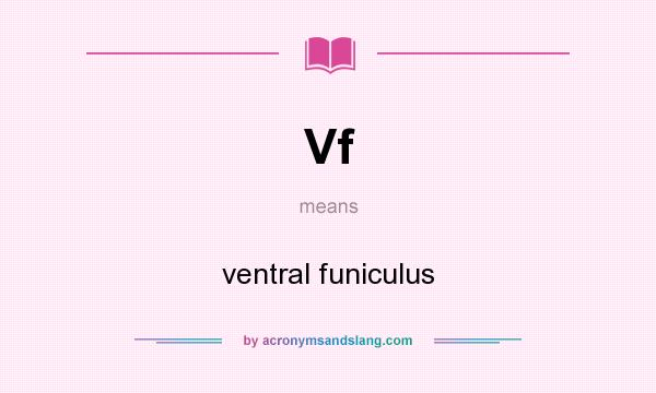 What does Vf mean? It stands for ventral funiculus