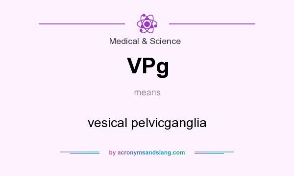 What does VPg mean? It stands for vesical pelvicganglia