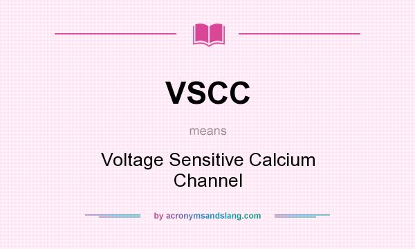What does VSCC mean? It stands for Voltage Sensitive Calcium Channel