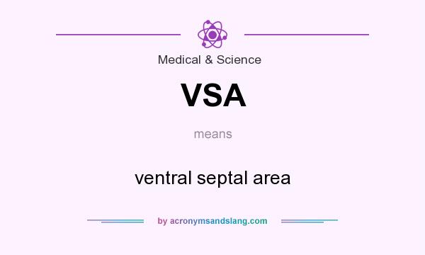 What does VSA mean? It stands for ventral septal area