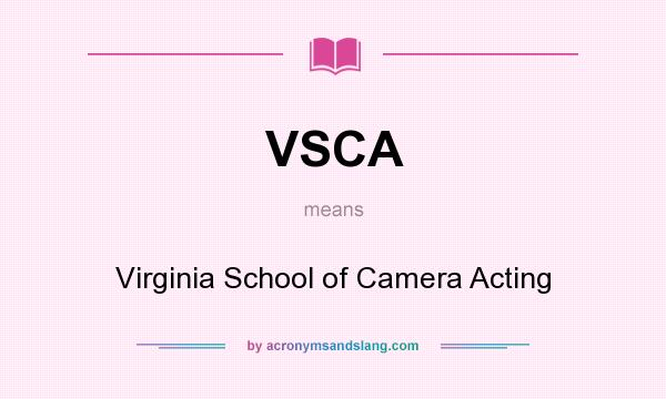 What does VSCA mean? It stands for Virginia School of Camera Acting
