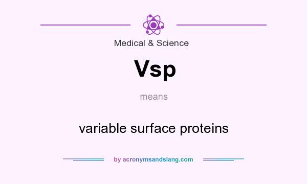 What does Vsp mean? It stands for variable surface proteins