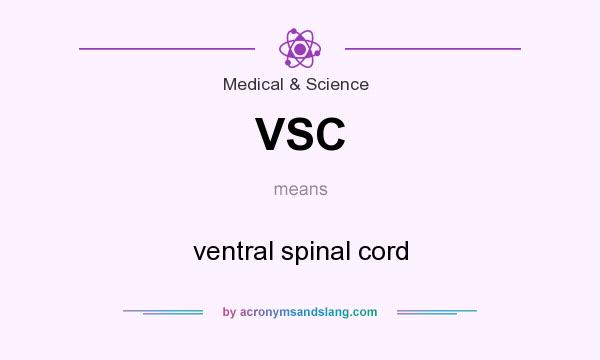 What does VSC mean? It stands for ventral spinal cord