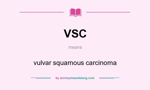 What does VSC mean? It stands for vulvar squamous carcinoma