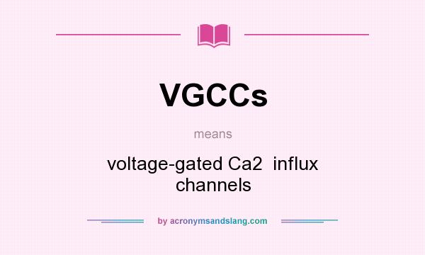What does VGCCs mean? It stands for voltage-gated Ca2  influx channels