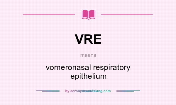 What does VRE mean? It stands for vomeronasal respiratory epithelium