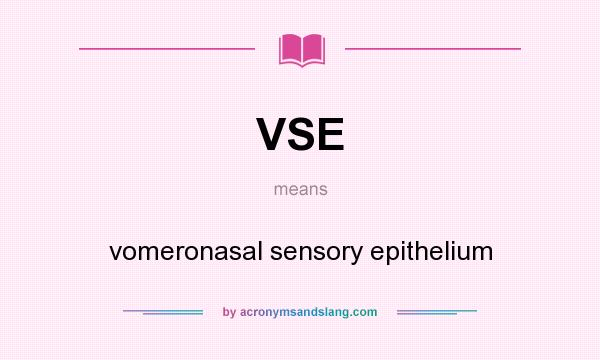 What does VSE mean? It stands for vomeronasal sensory epithelium