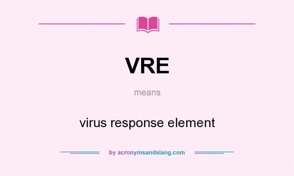 What does VRE mean? It stands for virus response element