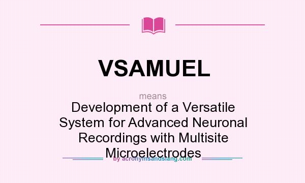 What does VSAMUEL mean? It stands for Development of a Versatile System for Advanced Neuronal Recordings with Multisite Microelectrodes