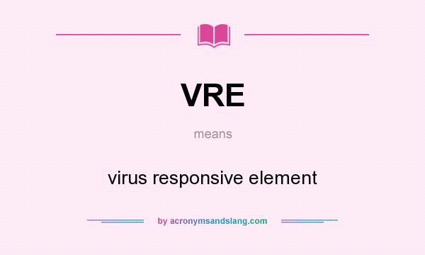 What does VRE mean? It stands for virus responsive element