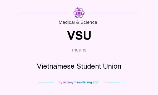 What does VSU mean? It stands for Vietnamese Student Union