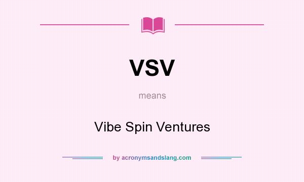 What does VSV mean? It stands for Vibe Spin Ventures