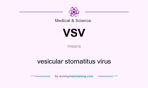 What does VSV mean? It stands for vesicular stomatitus virus