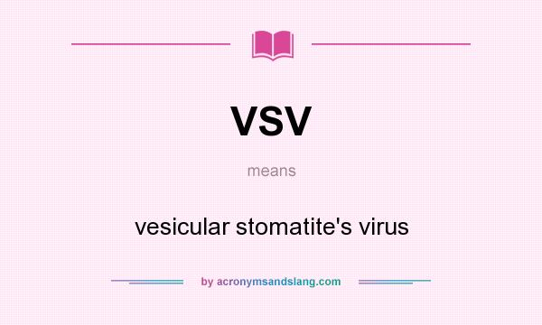 What does VSV mean? It stands for vesicular stomatite`s virus