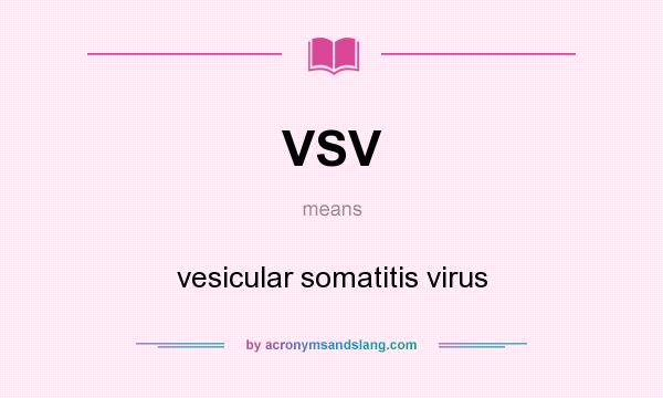 What does VSV mean? It stands for vesicular somatitis virus