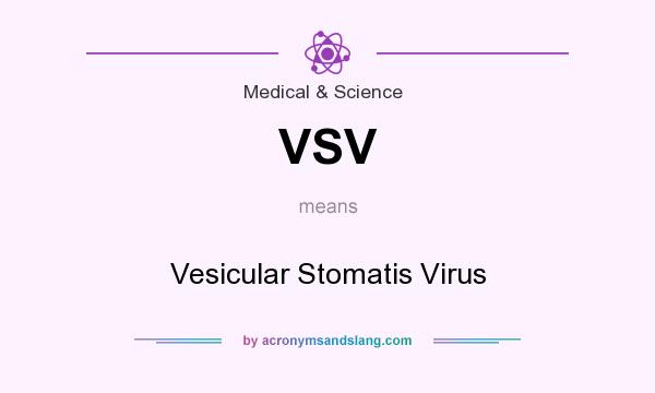 What does VSV mean? It stands for Vesicular Stomatis Virus