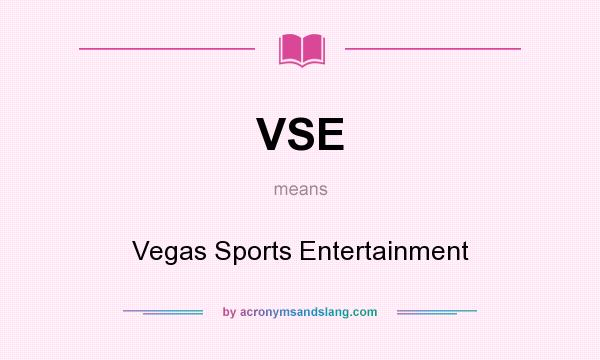 What does VSE mean? It stands for Vegas Sports Entertainment