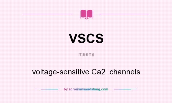 What does VSCS mean? It stands for voltage-sensitive Ca2  channels