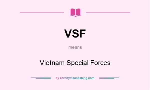 What does VSF mean? It stands for Vietnam Special Forces